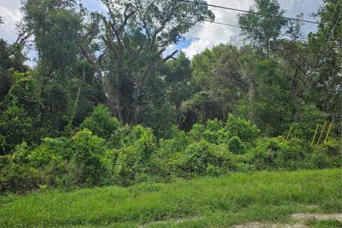 Land in Spring Hill, Florida № 1865949 - photo 1