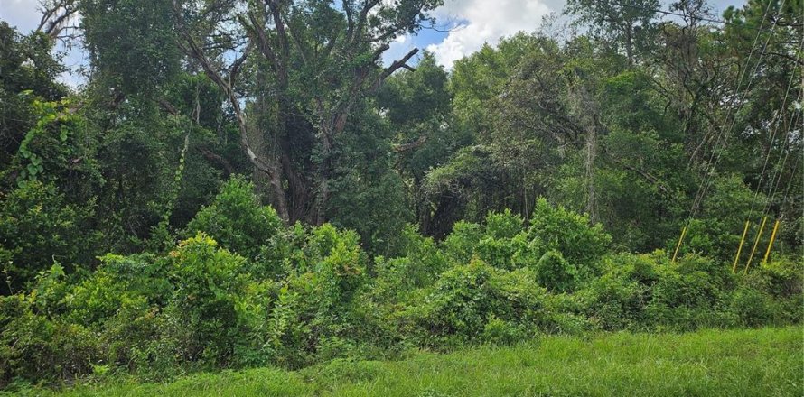 Land in Spring Hill, Florida № 1865949