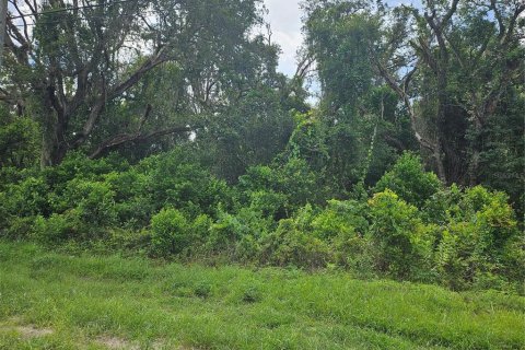 Land in Spring Hill, Florida № 1865949 - photo 6