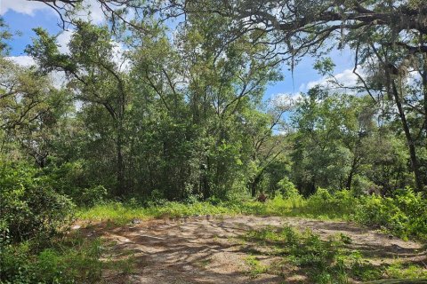 Land in Spring Hill, Florida № 1865949 - photo 4