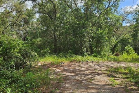 Land in Spring Hill, Florida № 1865949 - photo 3