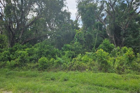 Land in Spring Hill, Florida № 1865949 - photo 2