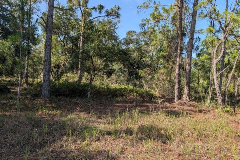 Land in Indian lake estates, Florida № 2164773