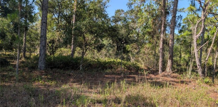 Land in Indian lake estates, Florida № 2164773