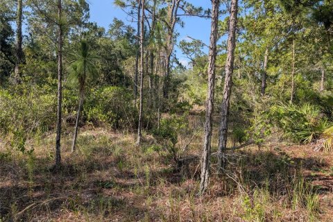 Land in Indian lake estates, Florida № 2164773 - photo 6