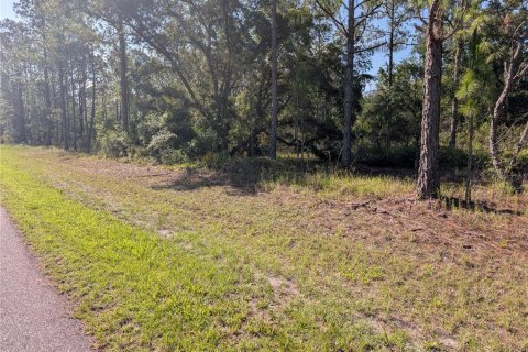 Land in Indian lake estates, Florida № 2164773 - photo 7