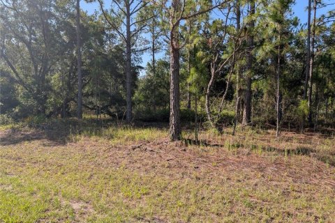 Land in Indian lake estates, Florida № 2164773 - photo 8