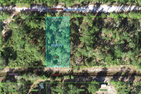 Land in Indian lake estates, Florida № 1584437 - photo 1