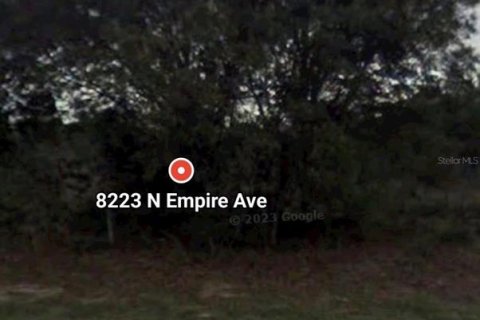 Land in Citrus Springs, Florida № 2160921 - photo 8