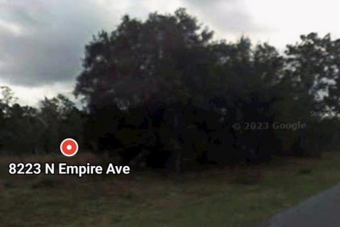 Land in Citrus Springs, Florida № 2160921 - photo 7