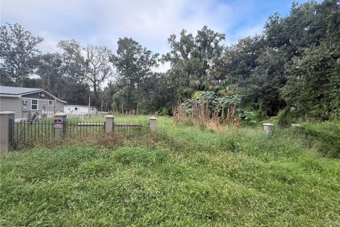 Land in Leesburg, Florida № 2384463