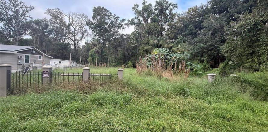 Land in Leesburg, Florida № 2384463