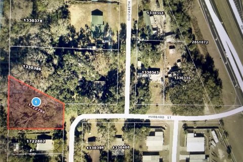 Land in Leesburg, Florida № 2384463 - photo 2