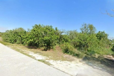 Land in Lake Placid, Florida № 2161516 - photo 3