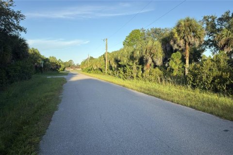 Land in Port Charlotte, Florida № 2396859 - photo 6