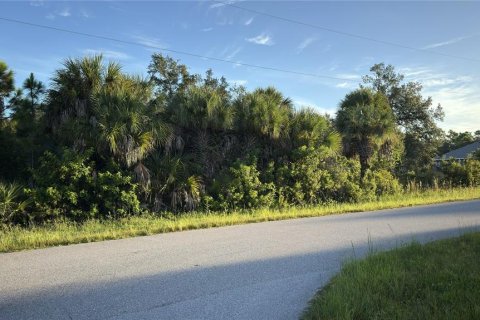 Land in Port Charlotte, Florida № 2396859 - photo 4