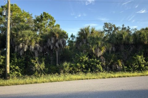 Land in Port Charlotte, Florida № 2396859 - photo 3