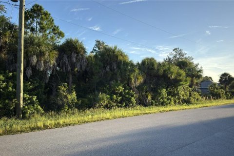 Land in Port Charlotte, Florida № 2396859