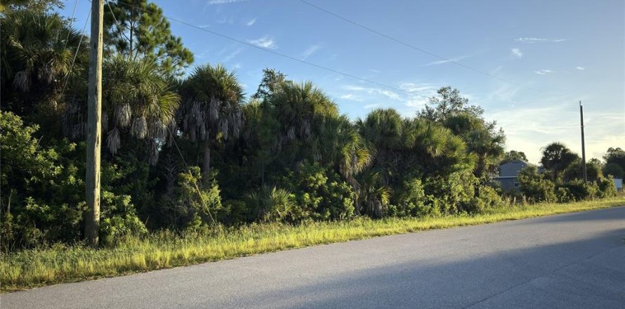 Land in Port Charlotte, Florida № 2396859