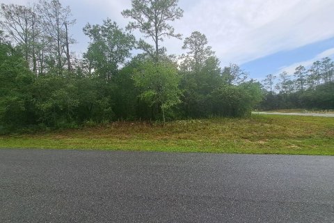 Land in Citrus Springs, Florida № 2258881 - photo 5
