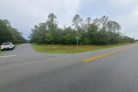 Land in Citrus Springs, Florida № 2258881 - photo 3