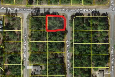 Land in Citrus Springs, Florida № 2258881