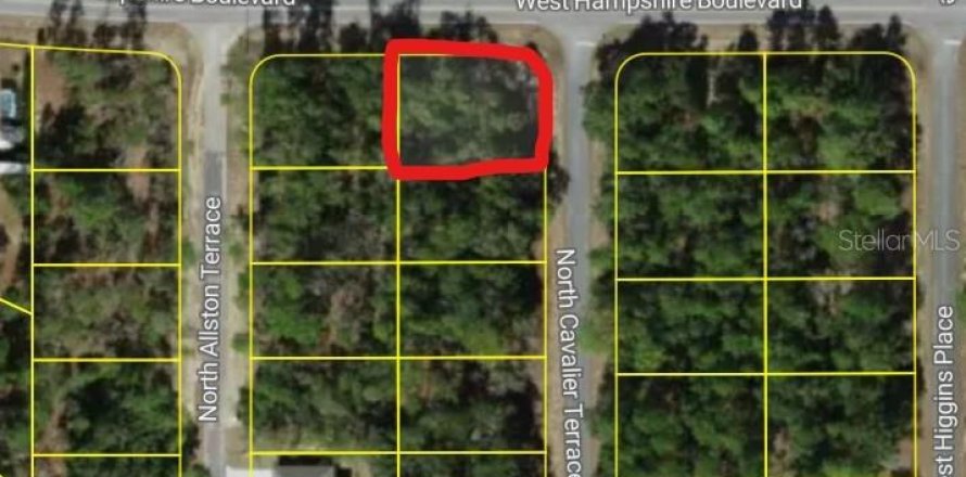 Land in Citrus Springs, Florida № 2258881