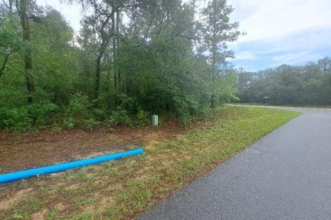 Land in Citrus Springs, Florida № 2258881 - photo 4