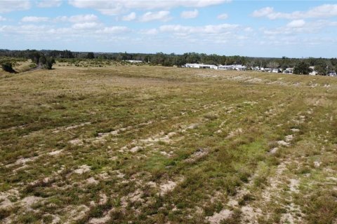 Land in Avon Park, Florida № 2098487 - photo 5