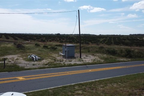 Land in Avon Park, Florida № 2098487 - photo 2