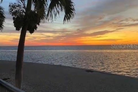 Copropriété à vendre à Saint Petersburg, Floride: 2 chambres, 76.64 m2 № 2349295 - photo 3