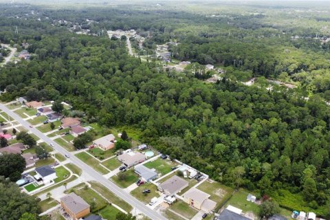 Land in Deltona, Florida № 1274818 - photo 6