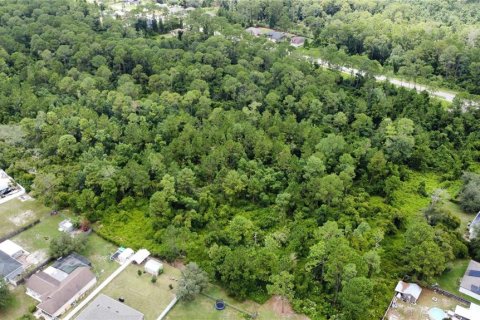 Land in Deltona, Florida № 1274818 - photo 7