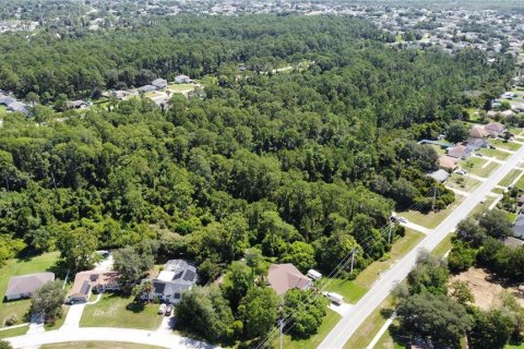 Land in Deltona, Florida № 1274818 - photo 3