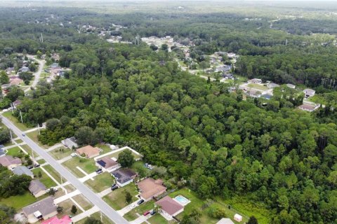 Land in Deltona, Florida № 1274818 - photo 5