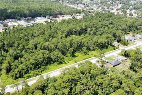 Land in Deltona, Florida № 1274818 - photo 9