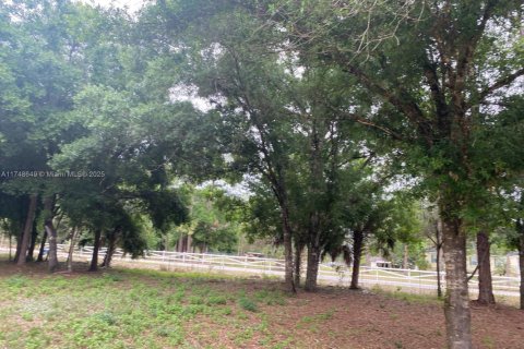 Купить земельный участок в Клуистон, Флорида № 1981076 - фото 4