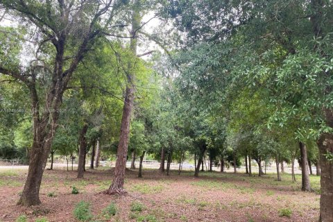 Земельный участок в Клуистон, Флорида № 1981076