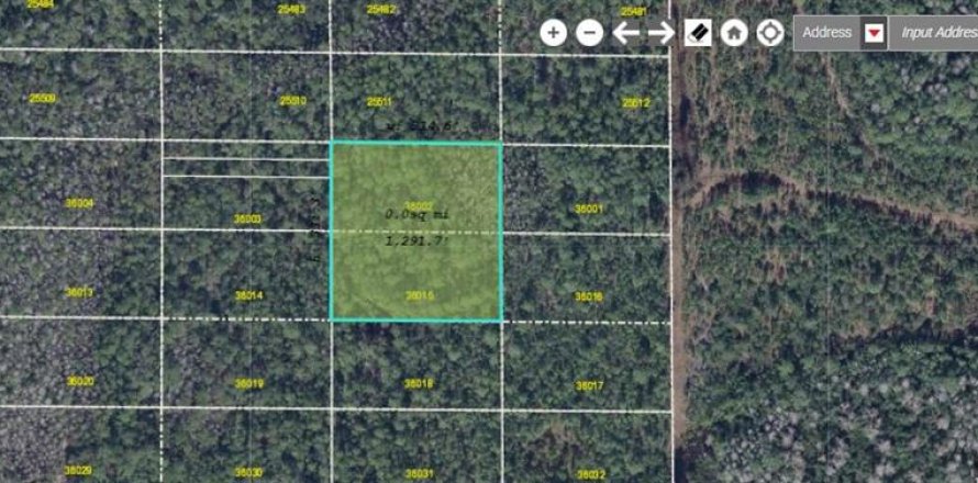 Terreno en Orlando, Florida № 1535400