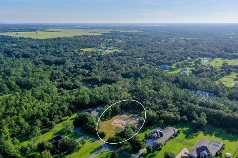 Land in Bradenton, Florida № 2368686