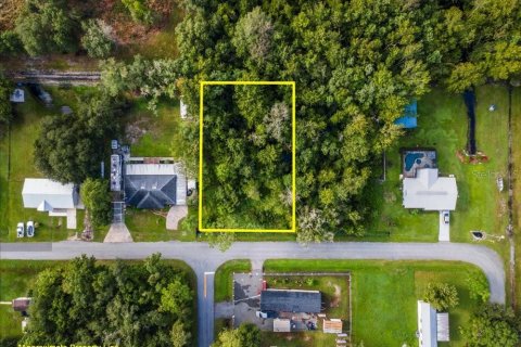Land in Intercession City, Florida № 2376660 - photo 6