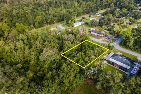 Land in Intercession City, Florida № 2376660 - photo 4