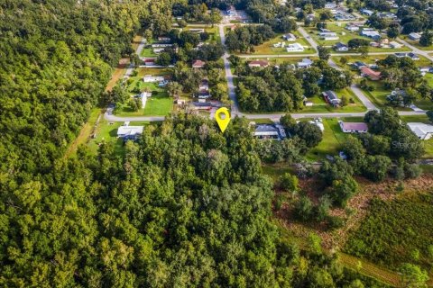 Land in Intercession City, Florida № 2376660 - photo 8