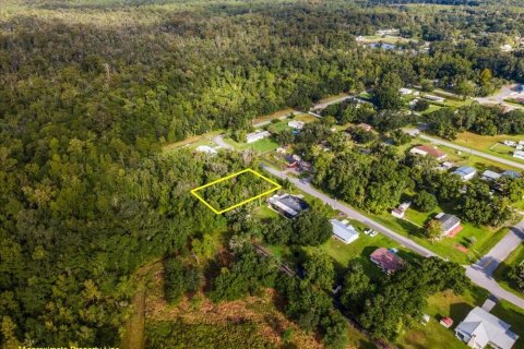Land in Intercession City, Florida № 2376660 - photo 7