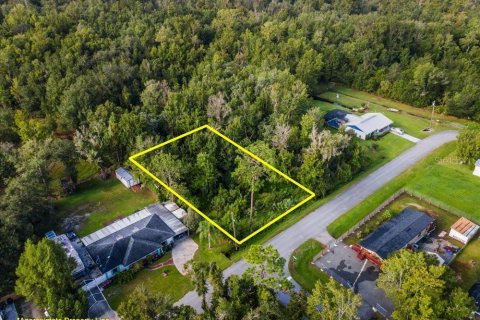 Land in Intercession City, Florida № 2376660