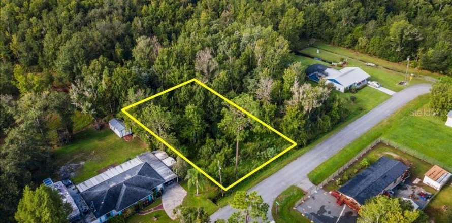 Land in Intercession City, Florida № 2376660