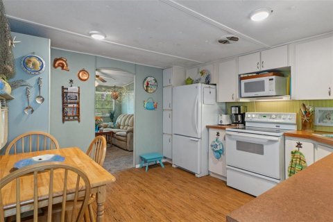 Villa ou maison à vendre à Homosassa, Floride: 2 chambres, 53.51 m2 № 1629017 - photo 17