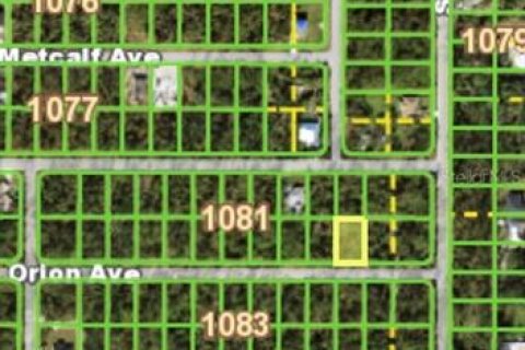 Land in Port Charlotte, Florida № 2165294 - photo 2