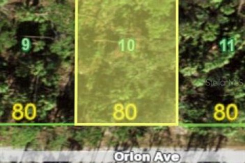 Land in Port Charlotte, Florida № 2165294 - photo 3
