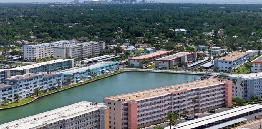 Condominio en Gulfport, Florida, 2 dormitorios № 2199909
